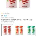 팅글 리얼에이드 신비복숭아 250mL X 48캔