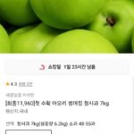 아오리 청사과 7kg