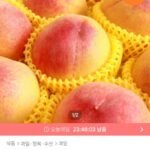 딱딱이 복숭아 4kg(20-24과)