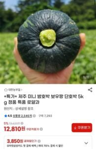 제주 미니 밤호박 보우짱 단호박 5kg