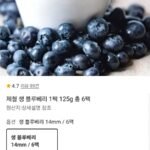 제철 생 블루베리 1팩 125g 총 6팩