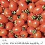 대추방울토마토 소과 3kg