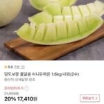 허니듀 메론 1.6kg 내외 2수