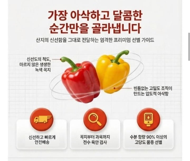 국내산 알록달록 파프리카 1kg