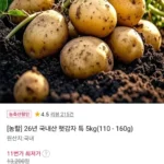 온누리가능) 햇감자 특 5kg