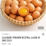 무항생제 난각1번 신선한 유정란 20구