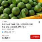 GAP인증 제주 청귤 3kg