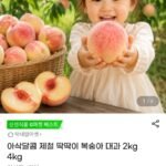제철 딱딱이 복숭아 대과 2kg
