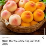 복숭아 황도 백도 고당도 4kg (22-24과)