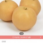 나주배 3kg