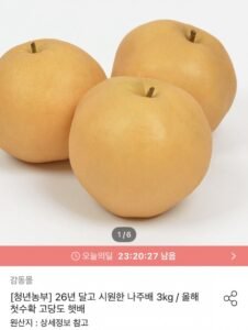 나주배 3kg