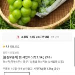 햇 샤인머스켓 1.5kg (3수)