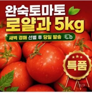 경북 완숙 토마토 로얄과 5kg
