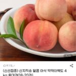 경북 딱딱이백도 4kg 중대과 18-20과
