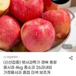 경북 홍로 햇 사과 4kg