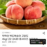 딱딱이 백도복숭아 4kg 중 (22-24과)