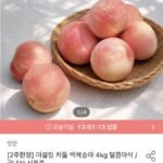 경북 차돌복숭아(딱딱이) 소과 4kg