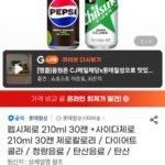 펩시제로 210ml 30캔 +사이다제로 210ml 30캔