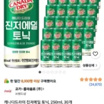 캐나다드라이 진저에일 토닉, 250ml, 30개