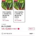 국내산 모듬쌈채소 4~5종 랜덤 1kg 보냉포장