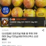 특품 왕 추희 자두 대과 2kg