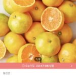 깨비농원 꿀당도 하우스귤 4.5kg 로얄과
