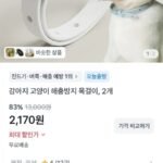 1+1 반려동물 해충방지 목걸이