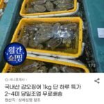 국내산 갑오징어 1kg 2~4미