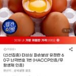 더싱싱 파손보상 유정란 60구 난각번호 1번