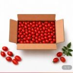 대추방울토마토 큰 로얄과(1-2번) 2kg
