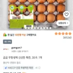 곰곰 무항생제 신선한 특란, 30구