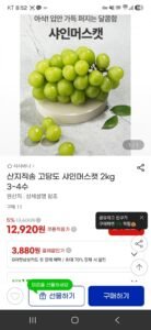 산지직송 고당도 샤인머스켓 2kg 3~4수