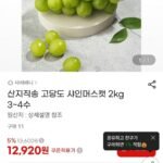 산지직송 고당도 샤인머스켓 2kg 3~4수