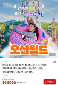 비발디파크 오션월드 골드시즌,하이시즌 입장권