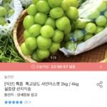 농협 특품 샤인머스캣 2kg 3~4수