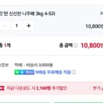 나주햇배 3kg 4-5과 대과