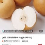 26년 햇 원항배 5kg
