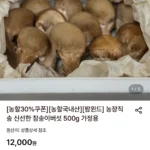 농장직송 신선한 참송이버섯 500g 가정용