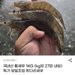 국내산 활새우 1KG (kg당 27미 내외)