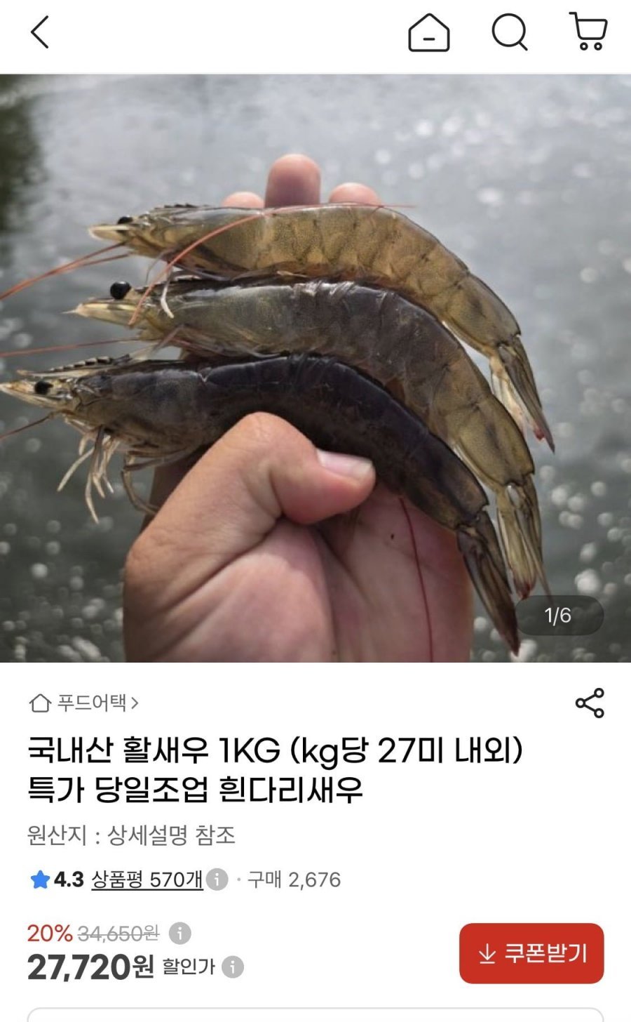 국내산 활새우 1kg (kg당 27미 내외)