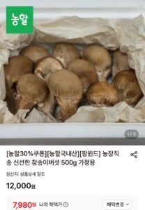 가정용 참송이버섯 500g