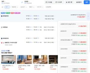 청주-삿포로 1115-1119
