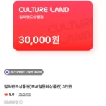 컬쳐랜드 3만원