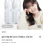 삼다수 무라벨 2L 12병