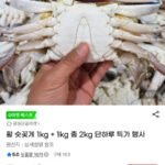 활 숫꽃게 1kg + 1kg 총 2kg(6~10미)