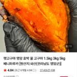 영암 햇고구마 1.5kg 특상