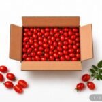 대추방울토마토 큰로얄과(1-2번)2kg