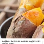 국내산 햇 꿀밤고구마 특상 3kg