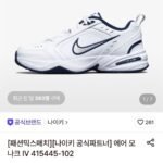 나이키 에어 모나크 IV 415445-102