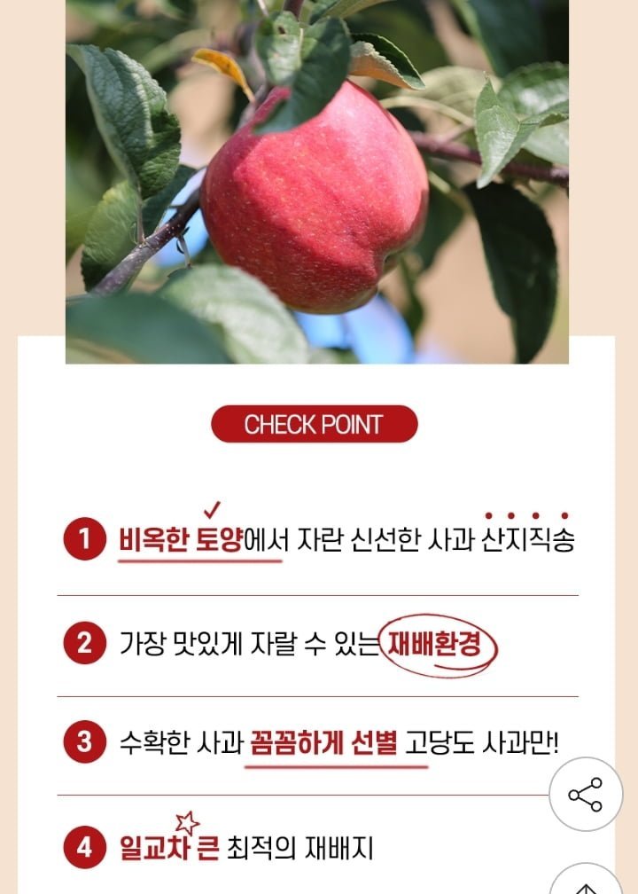 달콤한 빨간사과 홍로 1.5kg